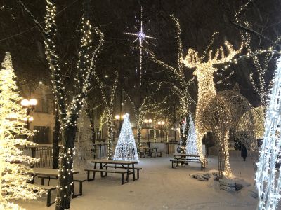 Christmas Light Installation