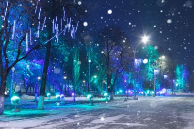 Christmas Light Installation