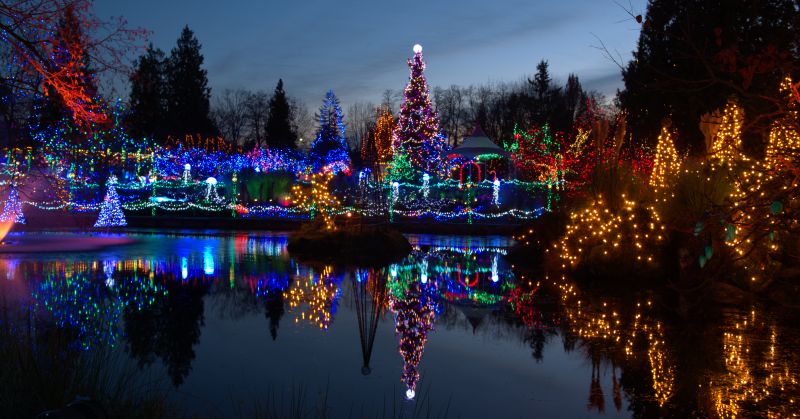 Christmas Light Installation