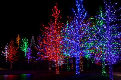 Enhances holiday decorations